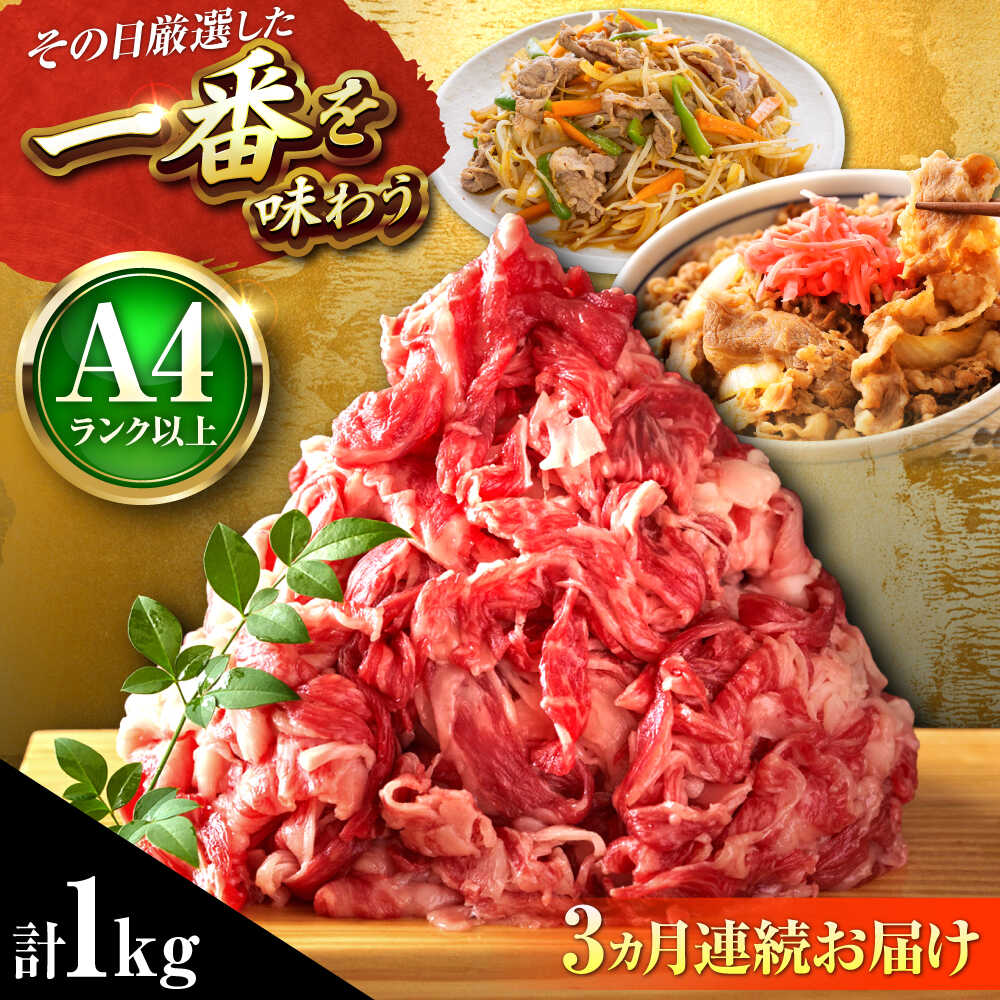 【ふるさと納税】【全3回定期便】【A4～A5】博多和牛 切り落とし 1kg (500g&times;2P) 吉富町/株式会社MEAT PLUS[BGAB101] お肉 肉 牛 牛肉 和牛 黒毛和牛 切り落とし肉 きりおとし 国産 炒め物 すき焼き しゃぶしゃぶ 牛丼 小分け 赤身 冷凍 福岡 ギフト 肉ギフト 人気 おすすめ｜福岡県吉富町