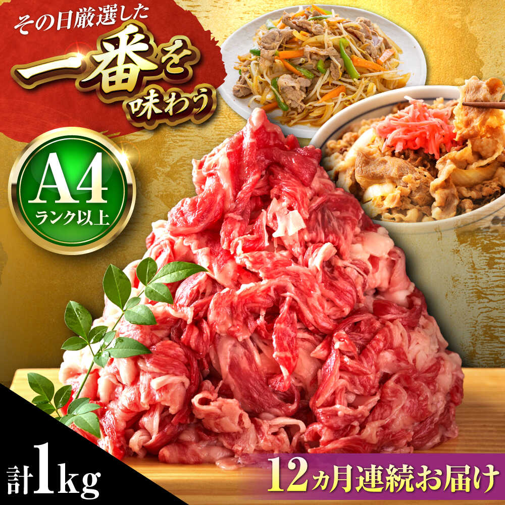 【ふるさと納税】【全12回定期便】【A4～A5】博多和牛 切り落とし 1kg (500g×2P) 吉富町/株式会社MEAT PLUS[BGAB103] お肉 肉 牛 牛肉 和牛 黒毛和牛 切り落とし肉 きりおとし 国産 炒め物 すき焼き しゃぶしゃぶ 牛丼 小分け 赤身 冷凍 福岡 ギフト 肉ギフト 人気 おすすめ