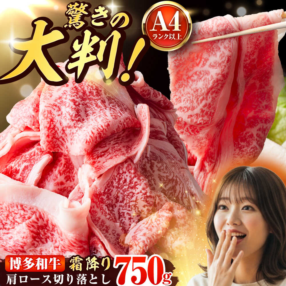 【ふるさと納税】【A4～A5】 博多和牛 大判霜降り 贅沢切り落とし 750g (250g×3P) 吉富町/株式会社MEAT PLUS[BGAB110] お肉 肉 牛肉 和牛 黒毛和牛 切り落し 国産 小分け