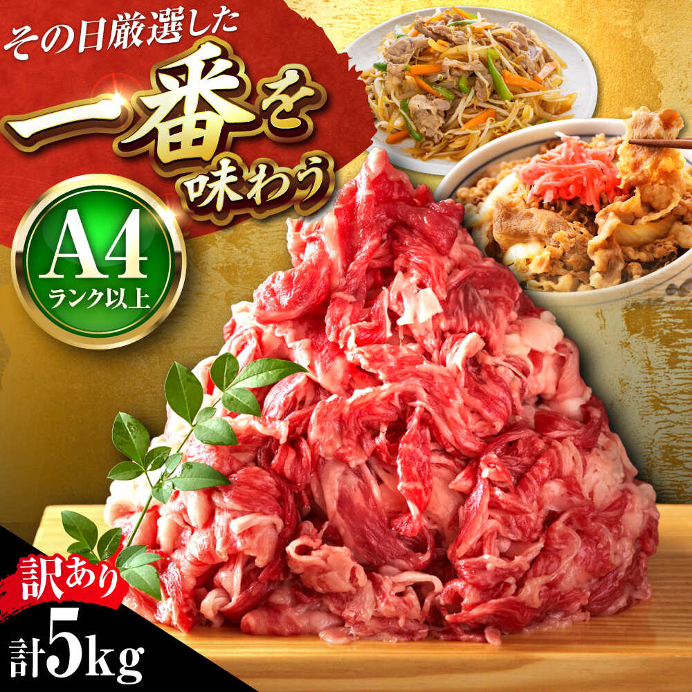 【ふるさと納税】【訳あり】【A4～A5】 博多和牛 切り落とし 5kg (500g×10パック) 吉富町/株式会社MEAT PLUS[BGAB040] 牛肉 切り落とし きりおとし 大容量 和牛 黒毛和牛 国産 赤身 切落し 切落とし 小分け 冷凍 訳あり わけあり