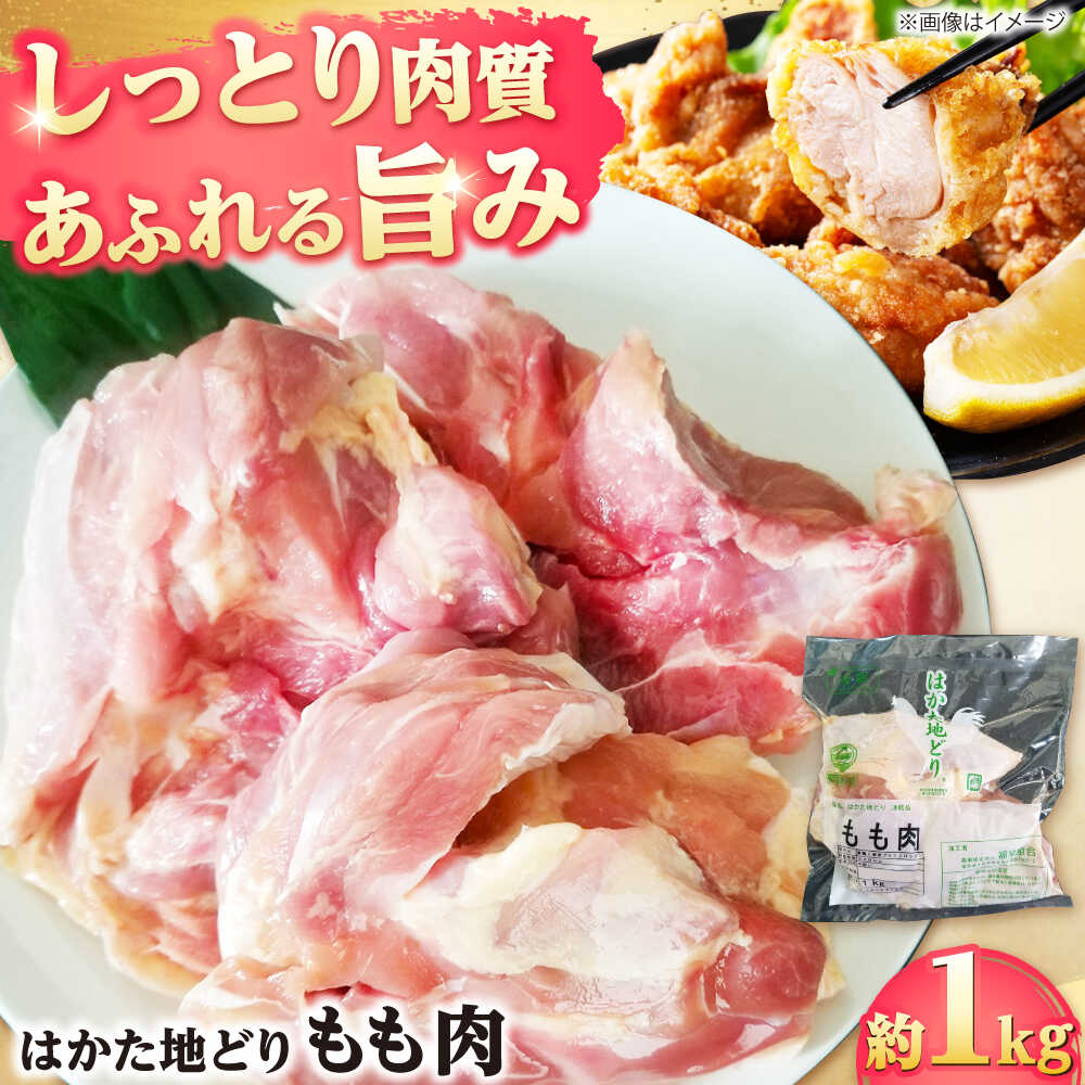 【ふるさと納税】【レビューCP】はかた地どり もも肉 約 1kg 吉富町/株式会社吉浦コーポレーション[BGAD005] 肉 鶏 とり 鶏肉 鳥肉 博多地鶏 地鶏 地どり もも モモ モモ肉 国産 冷凍 福岡 唐揚げ 筑前煮 がめ煮 ブランド チキン 人気 おすすめ お取り寄せ グルメ