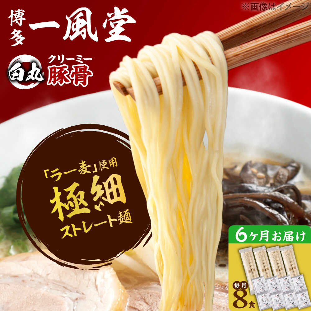 【ふるさと納税】【全6回定期便】ラー麦使用「一風堂」とんこつラーメン 白丸(8食) 吉富町/株式会社吉浦コーポレーション[BGAD032] ラーメン とんこつ 豚骨 麺 らーめん 細麺 豚骨ラーメン 福岡 博多 人気 おすすめ 手土産｜福岡県吉富町
