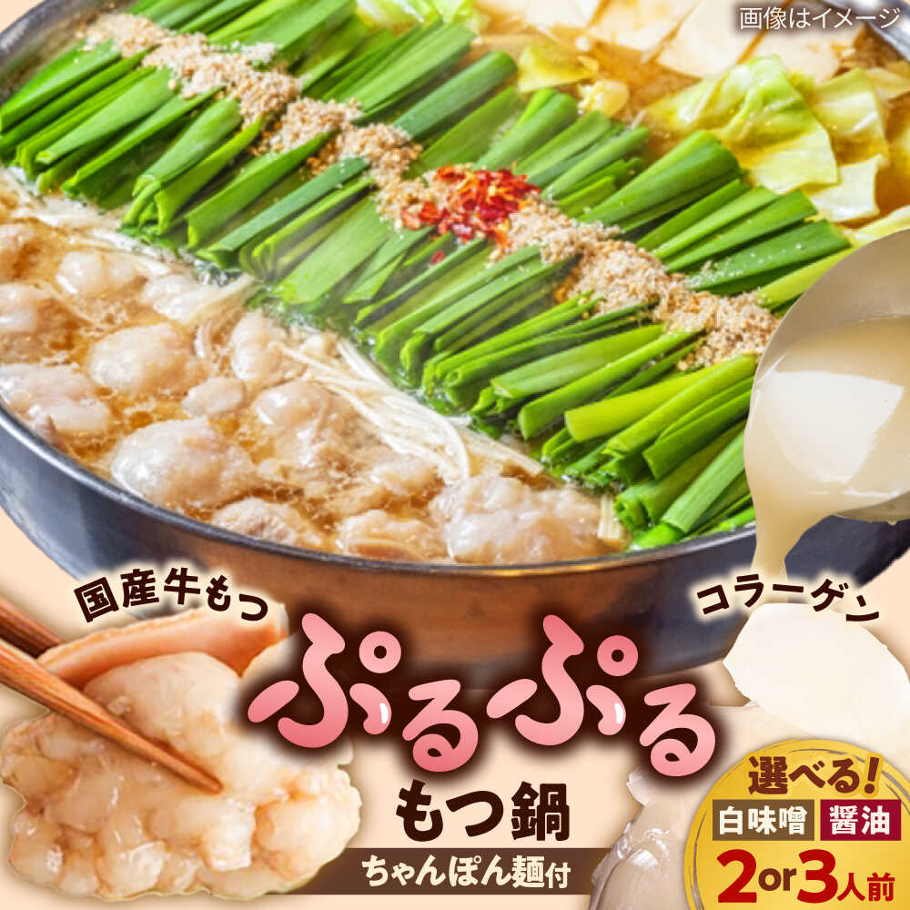 【ふるさと納税】【レビューCP】「上田商店」博多もつ鍋セット(白味噌/醤油味・2人前/3人前) 吉富町/株式会社吉浦コーポレーション[BGAD054] もつ鍋 もつ 鍋 鍋セットもつ鍋セット お取り寄せ
