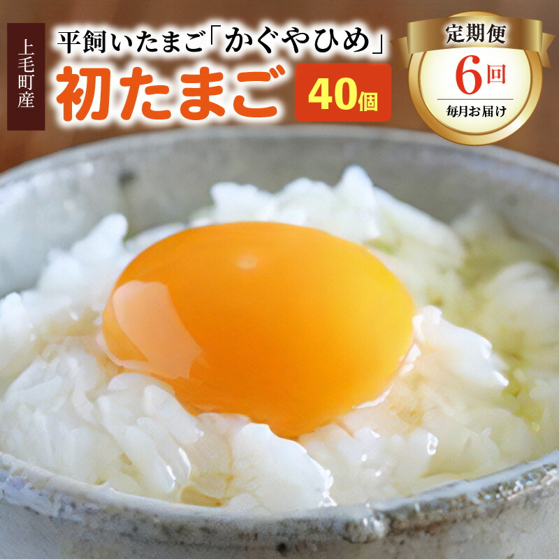 【ふるさと納税】【定期便】卵 40個 全6回 毎月コース かぐやひめ 初たまご 国産 福岡上毛町産 鶏卵 地鶏の卵 放し飼いたまご 生卵 たまごかけご飯 炊きたてのご飯 栄養 たっぷり 味 濃厚 お取り寄せ お取り寄せグルメ 食品 食べ物 ごはんのおとも 冷蔵 送料無料 04T-011