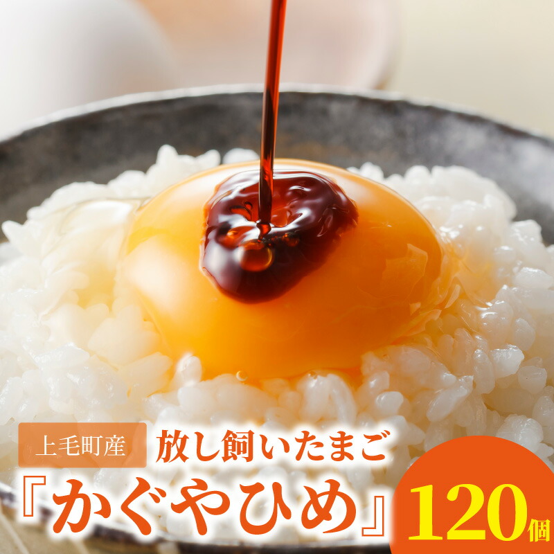 【ふるさと納税】高評価 たまご 120個 かぐやひめ 生卵 鶏卵 コク まろやか 旨み 国産 衛生 品質 管理 徹底 エサ こだわり 放し飼い 九州産 卵かけご飯 オムライス オムレツ チャーハン 親子丼 マフィン プリン ご飯 スイーツ 食品 お取り寄せ グルメ 福岡県 上毛町 送料無料