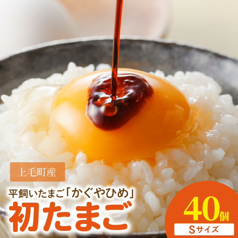 【ふるさと納税】卵 40個 かぐやひめ 初たまご とろける コク 旨味 国産 福岡上毛町産 鶏卵 平飼い 放し飼いたまご 生卵 たまごかけご飯 卵黄 卵白 栄養 味 濃厚 お取り寄せ お取り寄せグルメ 食品 食べ物 ご飯のお供 築上鶏卵株式会社 冷蔵 送料無料