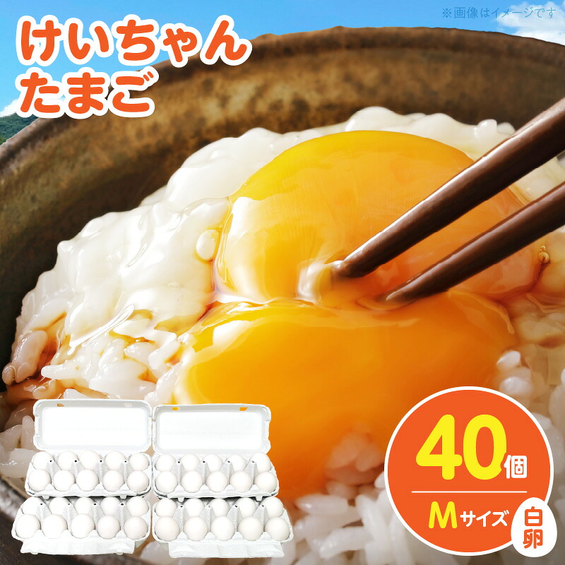 【ふるさと納税】けいちゃんたまご 白 Mサイズ 40個 けいちゃん たまご 生たまご 鶏卵 若い鶏 プリップリ 黄身 弾力 白身 安全 安心 新鮮 うま味 卵かけ 卵かけごはん 卵焼き 朝食 スイーツ お取り寄せ 福岡県 上毛町 送料無料