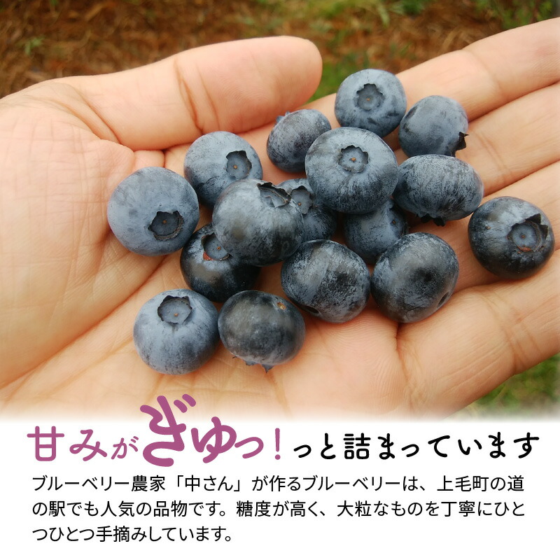 特価本物商品のこのブルーベリーは糖度が高く 大粒です 冷凍ブルーベリー 収穫後すぐに冷凍しています 叶え屋 冷凍ブルーベリー アイスデザート感覚でそのまま食べてもジャムにしても美味しく召し上がれます 上毛町産 ふるさと納税 フルーツ 果物 1kg 上毛 特価本物商品のこのブルーベリーは糖度が高く 大粒です 冷凍ブルーベリー 収穫後すぐに冷凍しています 叶え屋 冷凍ブルーベリー アイスデザート感覚でそのまま食べてもジャムにしても美味しく召し上がれます 上毛町産 ふるさと納税 フルーツ 果物 1kg 上毛