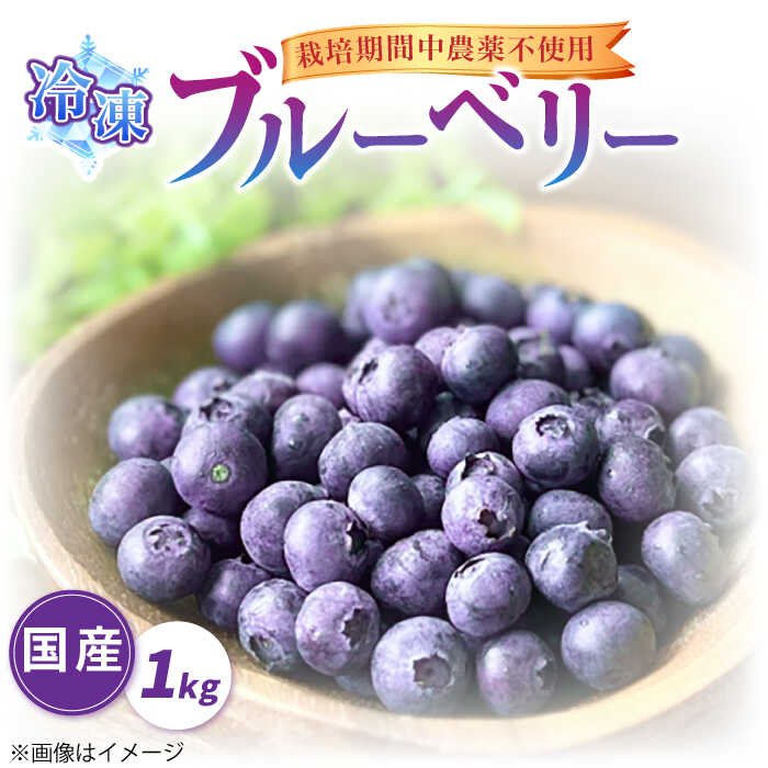 ★冷凍ブルーベリー 4kg 令和７年産★ ☆令和7年 冷凍ブルーベリー☆農薬不使用 5㌔ - メルカリ
