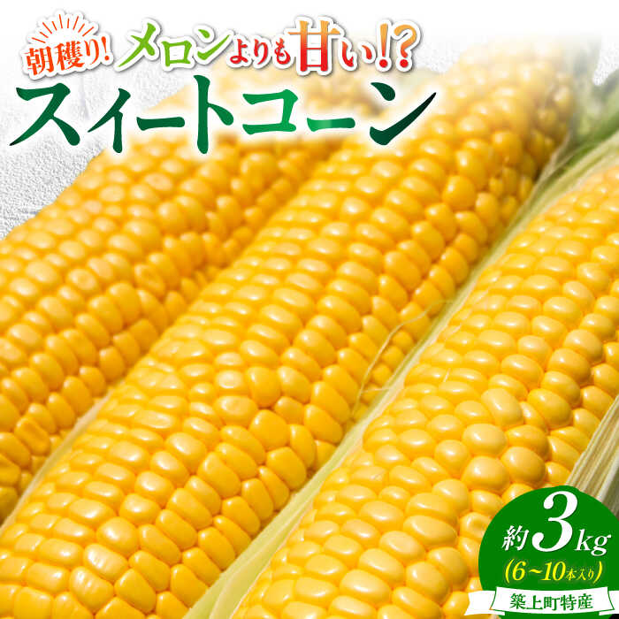 【ふるさと納税】【令和7年6月18日締切】 築上町 特産品 スイートコーン 約3kg 【京築の恵み】《築上町》【JA福岡京築　営農部】 [ABAW001] 9000円