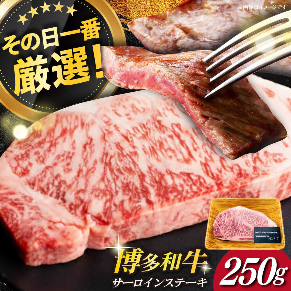 【ふるさと納税】【厳選部位使用！】博多和牛 A4以上 サーロイン ステーキ 250g×1枚《築上町》【株式会社MEAT PLUS】 #BBQ [ABBP006] 11000 11000円