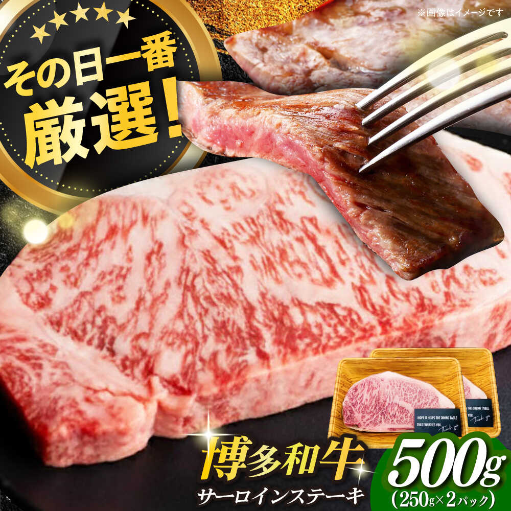 【ふるさと納税】【溢れる肉汁と濃厚な旨味】博多和牛 サーロイン ステーキ セット 500g(250g×2枚)《築上町》【株式会社MEAT PLUS】 #BBQ [ABBP013] 18000 18000円