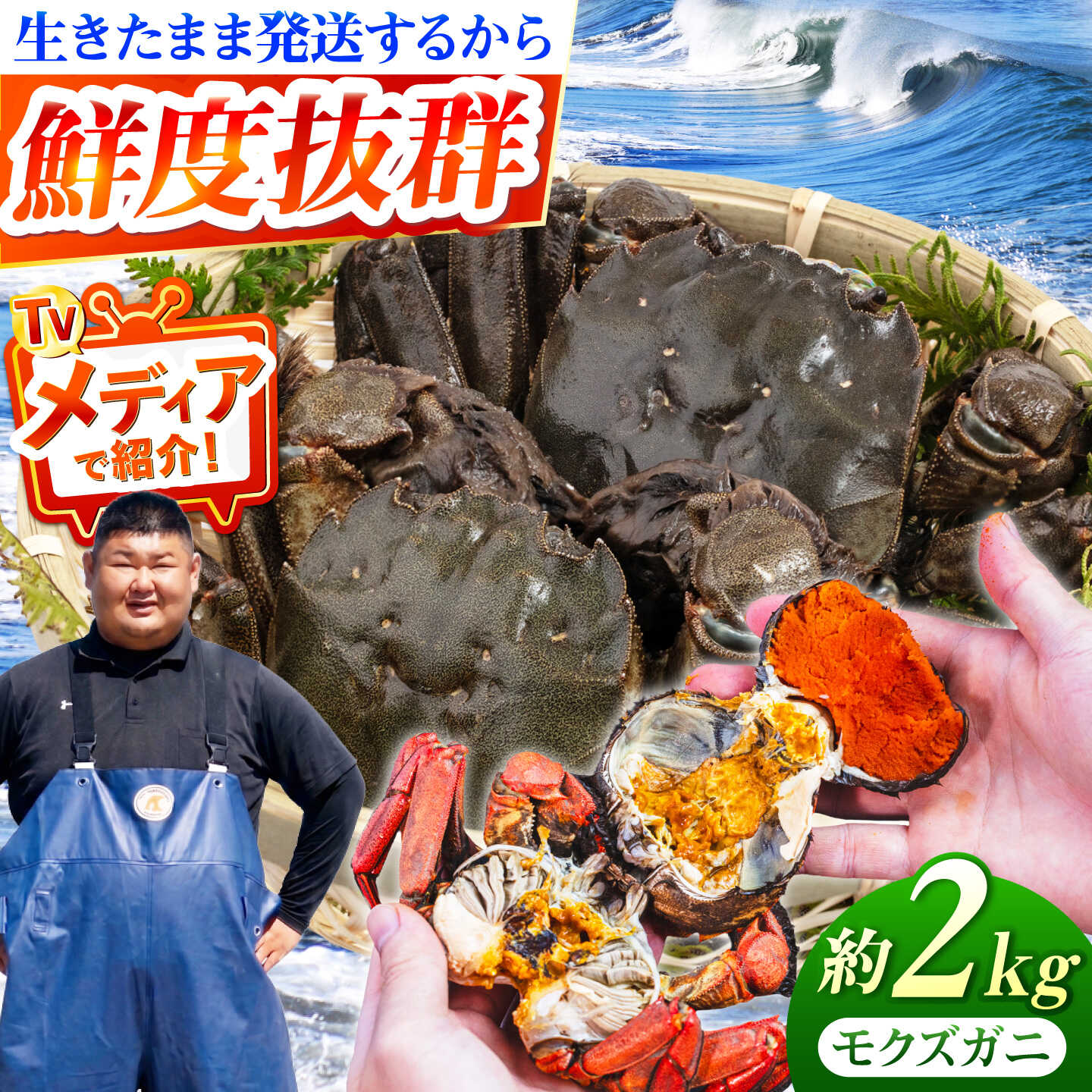【ふるさと納税】【先行予約】【2026年11月下旬以降順次発送】【11月下旬から4月下旬発送】新鮮 活モクズガニ 2kg (10～24杯前後) オス メス セット《築上町》【明青丸】 蟹 カニ カニ味噌[ABCB006] 27000円 2万7千円｜福岡県築上町