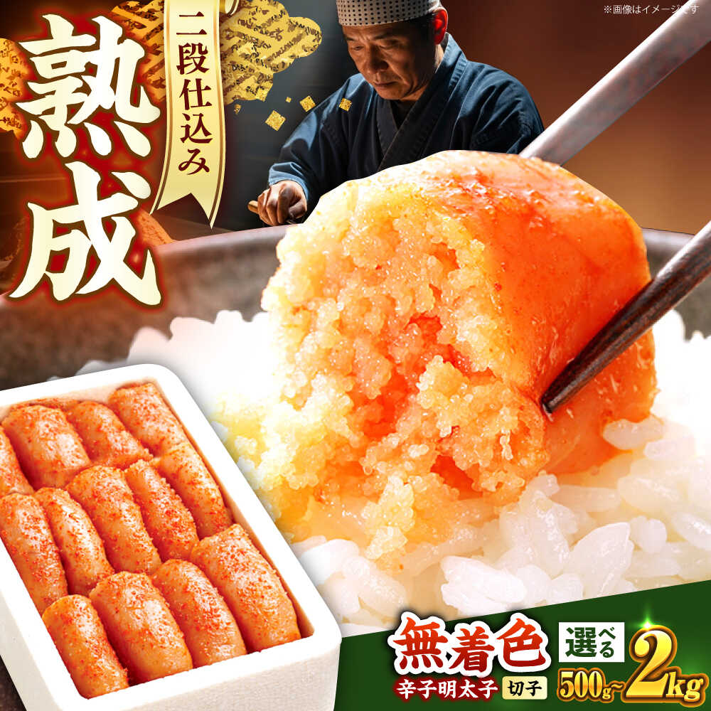 明治20年 教科書 増訂小学読本 五巻 金港堂 和綴じ本