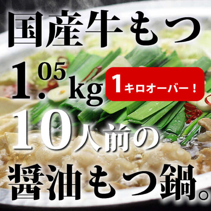 【ふるさと納税】【全6回定期便】国産牛もつ1kgオーバー！九州醤油もつ鍋 10人前《築上町》【株式会社ベネフィス】[ABDF161] 138000 138000円