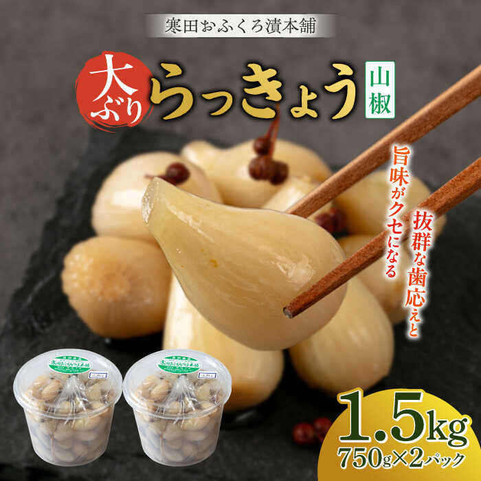 【ふるさと納税】【2026年7月中旬以降順次発送】らっきょう 1.5kg（山椒） 《築上町》【寒田おふくろ漬本舗】[ABDO004] 12000 12000円