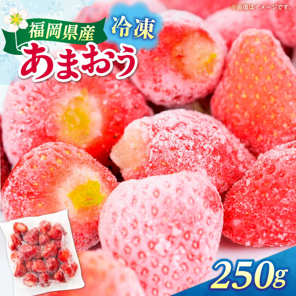 【ふるさと納税】福岡県産 冷凍あまおう 250g（250g×1個）≪築上町≫【株式会社木村食品】[ABEB024] いちご イチゴ 苺 果物 フルーツ[ABEB024]
