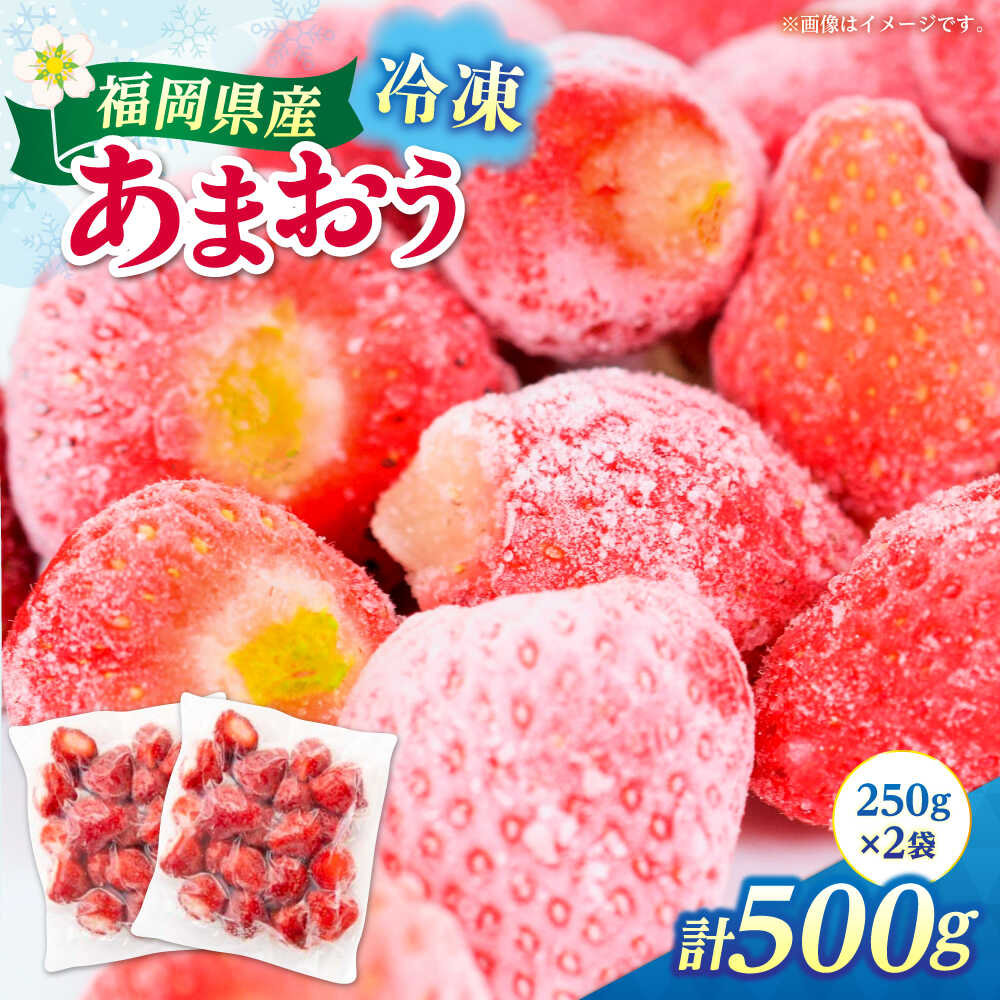 【ふるさと納税】福岡県産 冷凍あまおう 500g（250g×2個）≪築上町≫【株式会社木村食品】[ABEB025] いちご イチゴ 苺 果物 フルーツ[ABEB025]