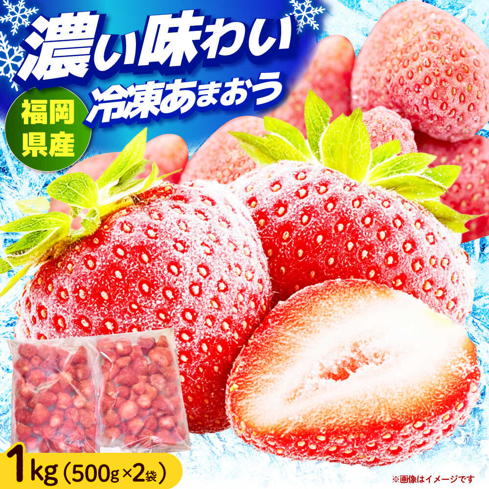 【ふるさと納税】【2026年4月以降発送】先行予約！福岡産 冷凍あまおう 1kg （500g×2袋） 《築上町》【南国フルーツ株式会社】 果物 苺 いちご あまおう [ABET001] 14000 14000円