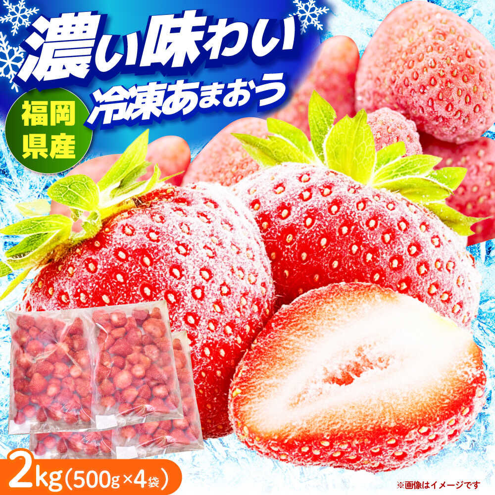 【ふるさと納税】【2026年4月以降発送】冷凍 あまおう苺 2kg （約500g&times;4袋） 《築上町》【南国フルーツ株式会社】 果物 苺 いちご あまおう[ABET002] 24000 24000円｜福岡県築上町