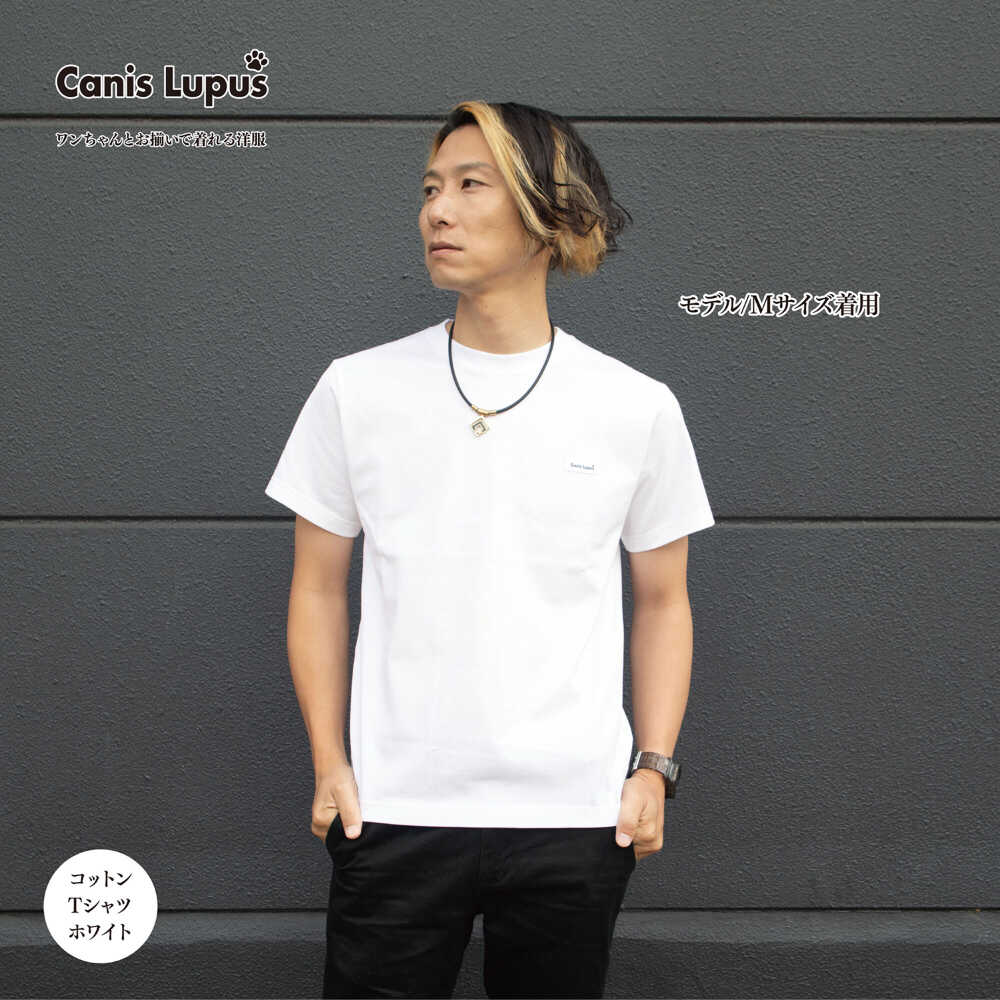 【ふるさと納税】コットンTシャツ ホワイト （S-XLサイズ）/ Tシャツ 半袖 ユニセックス シンプル / 佐賀県 / Canis Lupus [41AAAN002]