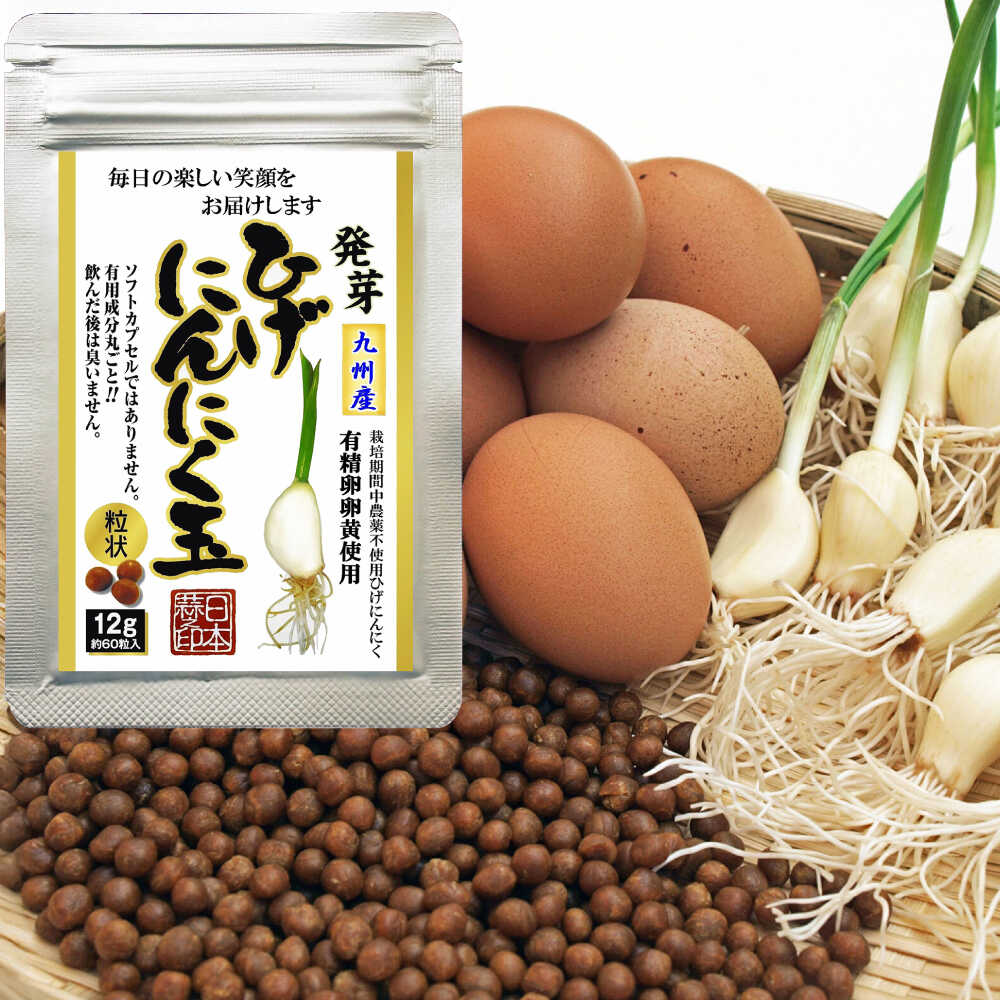 後ほどから選べる佐賀県ふるさと納税