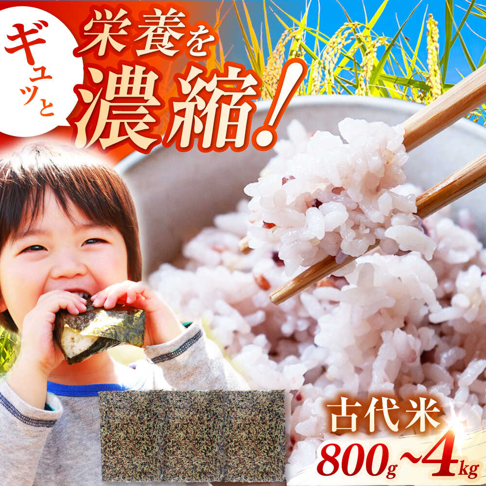 【ふるさと納税】佐賀県産古代米3色MIX 800g-4kg / 健康志向 赤米 緑米 黒米 / 佐賀県 / 旬菜舎さと山 [41AABM007]｜佐賀県