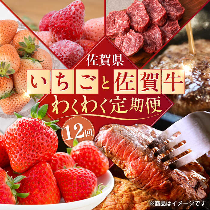 【ふるさと納税】【全12回定期便】佐賀県の生産者を応援！いちごと佐賀牛のわくわく定期便 / 白いちご いちご ステーキ ハンバーグ 切り落とし 佐賀牛 / 佐賀県ふるさと納税[41AAZZ010]