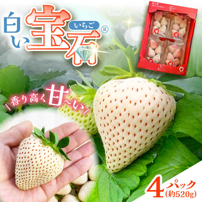 【ふるさと納税】白い宝石（自宅用）約520g（約130g×4パック） / いちご 苺 白いちご フルーツ 果物 / 佐賀県 / 手島農園 [41ABAB003] 14,250円