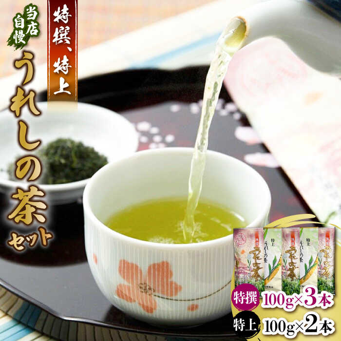 【ふるさと納税】厳選お茶（特上/特撰うれしの茶）5本セット / 嬉野茶 緑茶 / 佐賀県 / 有限会社孔子園製茶 [41ADAC003]｜佐賀県