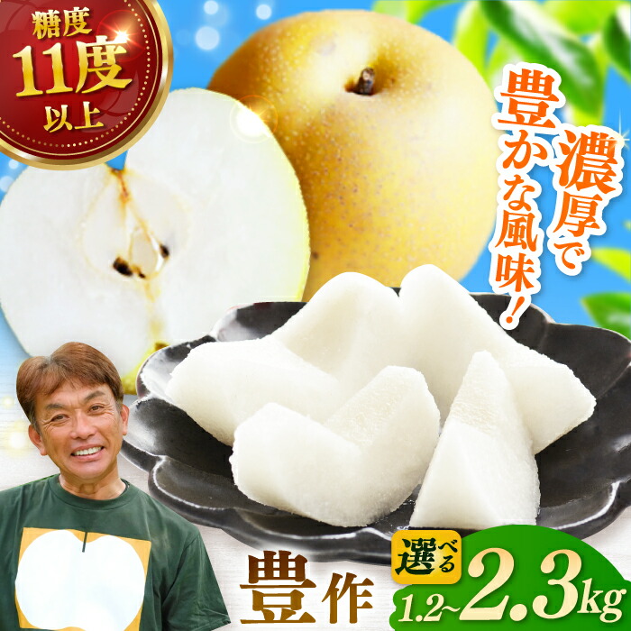 【ふるさと納税】【選べる返礼品】【2025年発送 先行予約】【100年続く梨農家直送】【化粧箱入り】豊作（豊水）3個入（約1.2kg）or 5-6個入（約2.3kg） / 梨 なし 伊万里梨 フルーツ 果物 / 佐賀県 / 大川三世代 [41AEAB005]