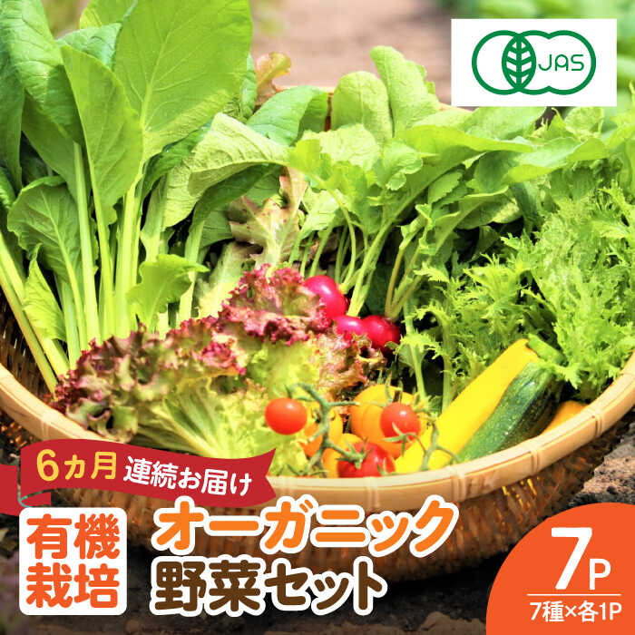 【ふるさと納税】【全6回定期便】 オーガニック サラダミニセット 7種×1パック / 有機JAS 旬 季節の野菜セット 産地直送 詰め合わせ / 佐賀県 / 株式会社サガンベジ [41ANCH005]