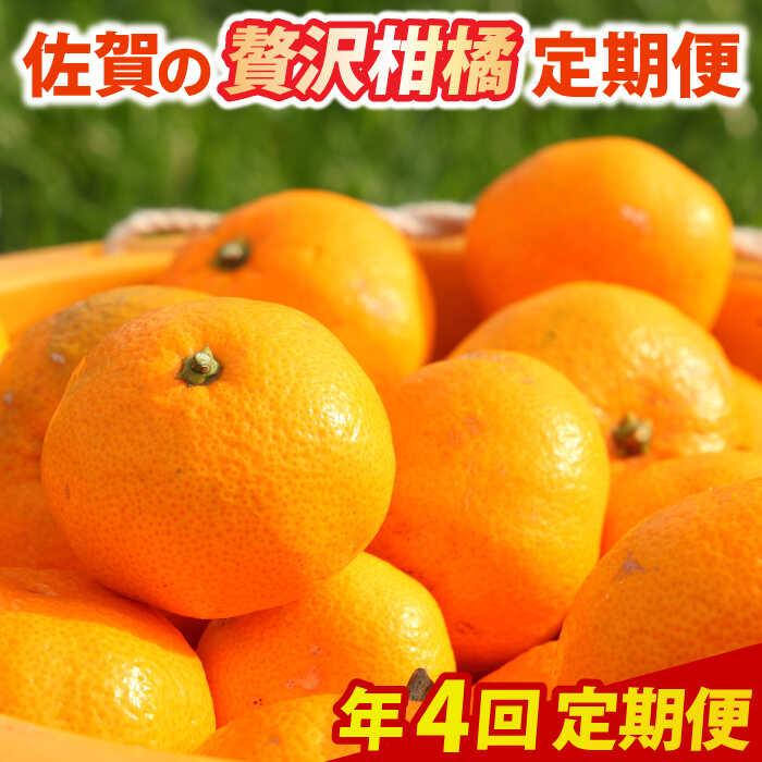 【ふるさと納税】【全4回定期便】佐賀の贅沢柑橘定期便 / みかん ミカン 定期便 / 佐賀県 / 佐嘉ZEYTAKUYA[41AQAA044]