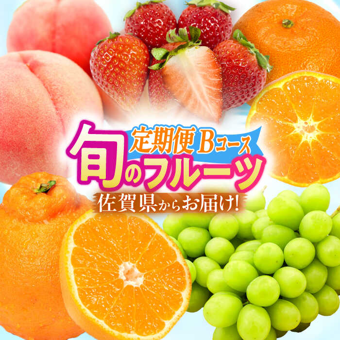 楽天市場】【ふるさと納税】【現行寄附額5月7日まで!】【全5回 楽天市場】【ふるさと納税】【現行寄附額5月7日まで!】【全5回