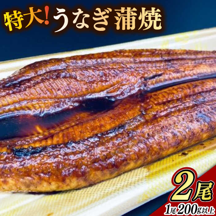 【ふるさと納税】特大うなぎ蒲焼 2尾（200g以上 / 尾） / 鰻 うなぎ 蒲焼 / 佐賀県 / ふるさとの恵み [41AQAA054]｜佐賀県
