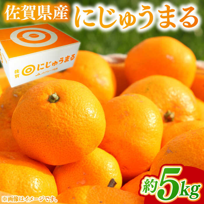 【ふるさと納税】【2026年発送 先行予約】佐賀県産にじゅうまる 5kg / みかん 柑橘 果物 フルーツ / 佐賀県 / 佐嘉ZEYTAKUYA[41AQAA059]