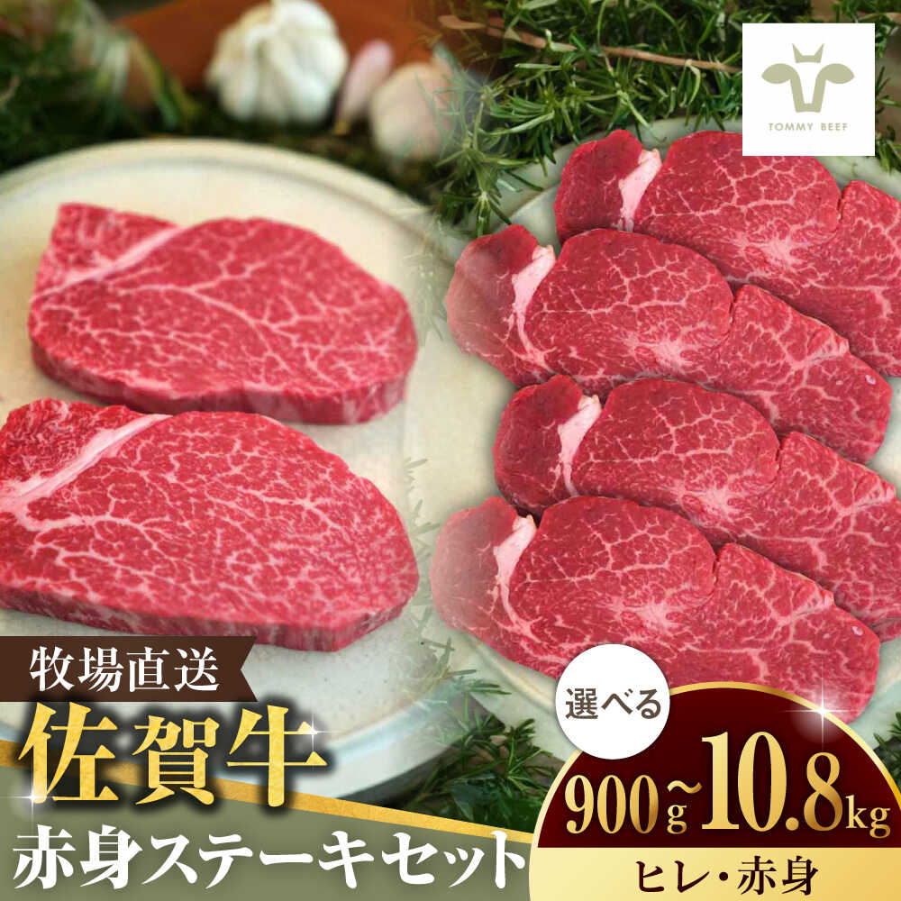 【ふるさと納税】【選べる単品・定期便】佐賀牛ヒレステーキ300g（150g&times;2枚）と赤身ステーキ600g（150g&times;4パック） / 国産牛 ブランド牛 牛肉 ステーキ 焼肉 ギフト 記念日 贈答 / 佐賀県 / 有限会社佐賀セントラル牧場 [41ASAA054]｜佐賀県