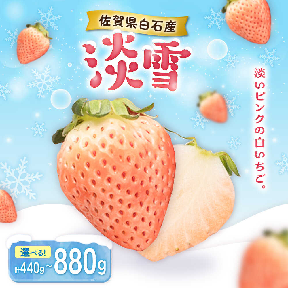 【ふるさと納税】【選べる容量】淡いピンクの白いちご「淡雪」220g×2パック-4パック / イチゴ 苺 フルーツ 果物 ふるーつ あわゆき / 佐賀県 / 岸川農園 [41ASAG004]