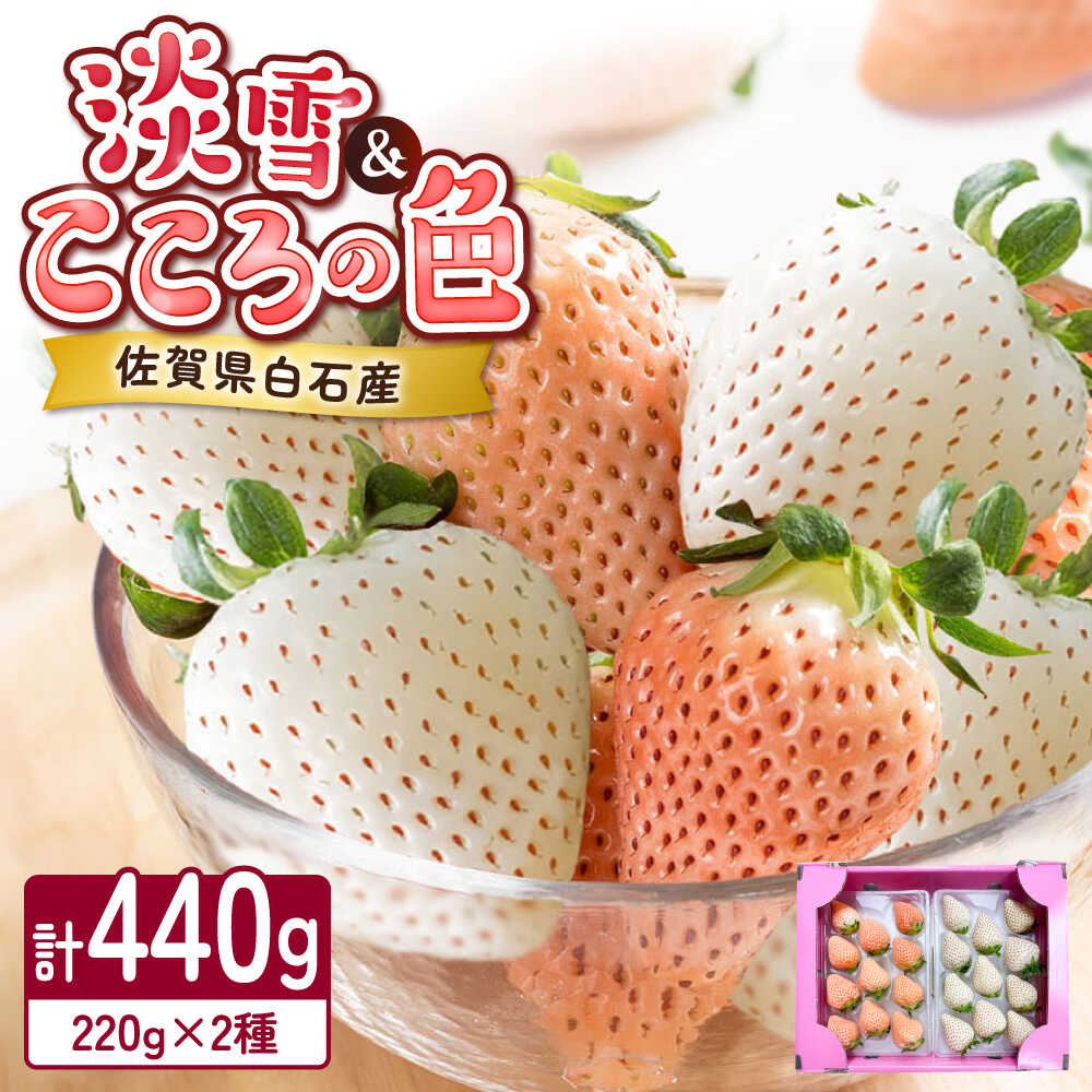 【ふるさと納税】淡雪・こころの色 白いちごプレミアム 計440g（220g×2パック）/ 岸川農園[41ASAG007]