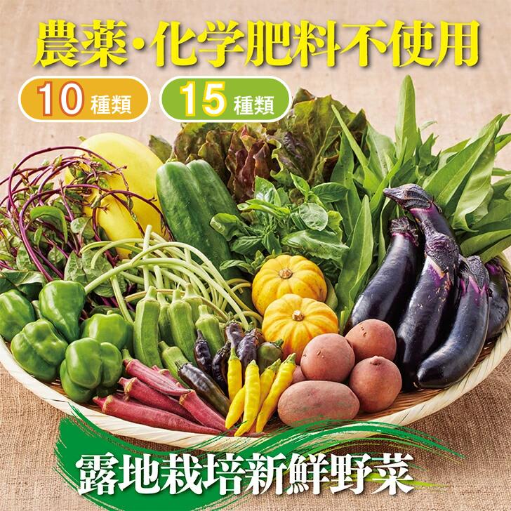 【ふるさと納税】佐賀産季節の旬野菜 選べる10or15種類（農薬・化学肥料不使用）：B120-036