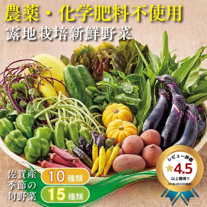 【ふるさと納税】佐賀産季節の旬野菜 選べる10or15種類（農薬・化学肥料不使用）：B120-036画像