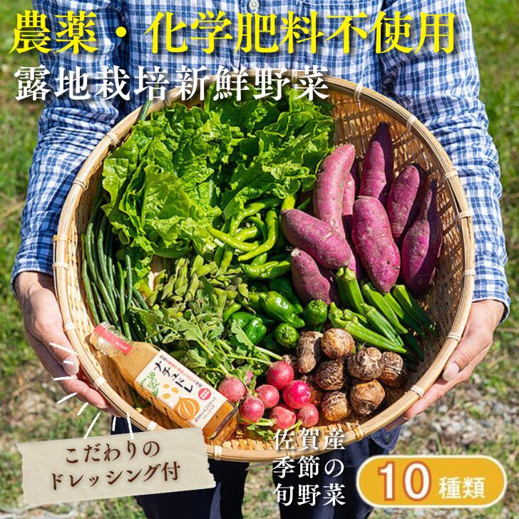【ふるさと納税】佐賀産季節の旬野菜10種類とドレッシング：B150-030