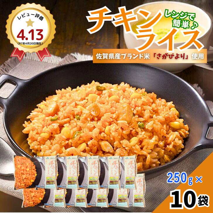 【ふるさと納税】ＪＡさがオリジナルチキンライス 250g×10袋：B110-042