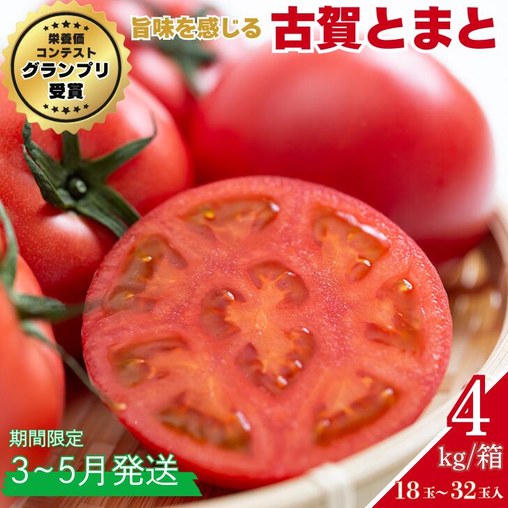 【ふるさと納税】【期間限定】栄養価コンテストでグランプリを受賞した「古賀とまと」 3月~5月発送 トマト 野菜 産地直送 佐賀県 佐賀市:B290-008