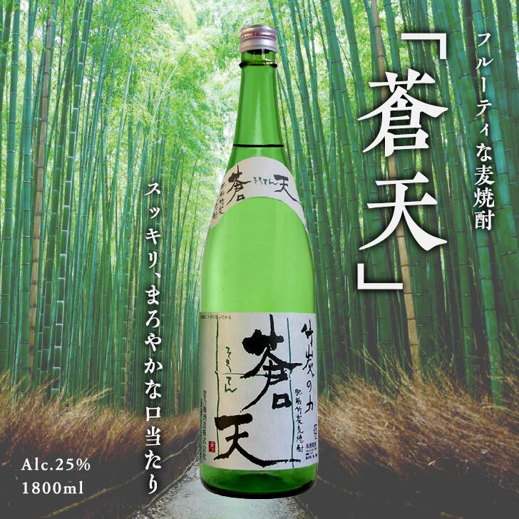 楽天市場】【ふるさと納税】Ｃ２−０２６．窓乃梅 歴 純米吟醸酒1800ｍｌ : 佐賀県佐賀市