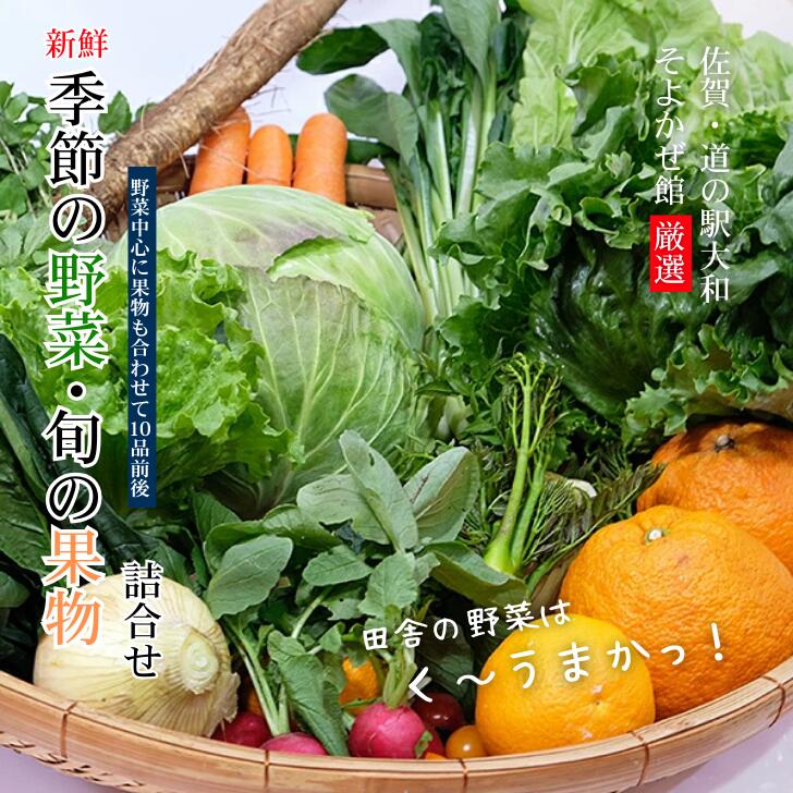 【ふるさと納税】旬の野菜と果物セット：B165-002