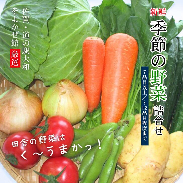 【ふるさと納税】新鮮・季節の野菜詰め合わせ：B120-006