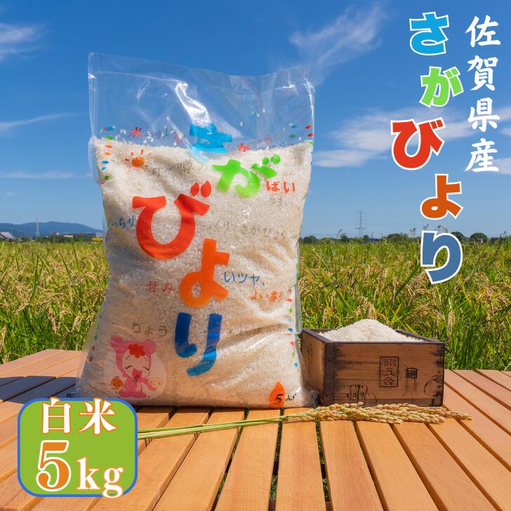 【ふるさと納税】【数量限定】令和6年産 佐賀県産さがびより白米5kg：B170-023