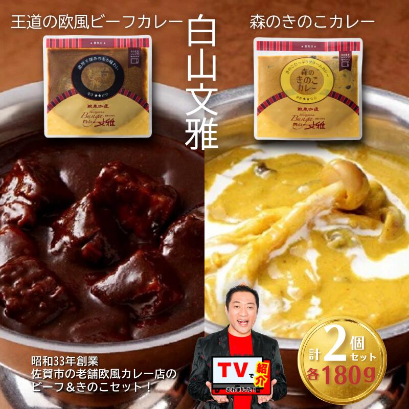 【ふるさと納税】白山文雅カレー2種セット（ビーフ･きのこ）：B120-072