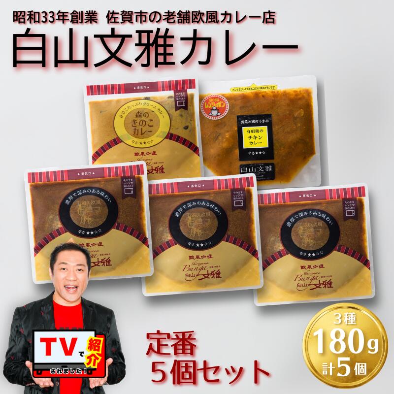 【ふるさと納税】白山文雅カレー 定番5個セット：B250-032